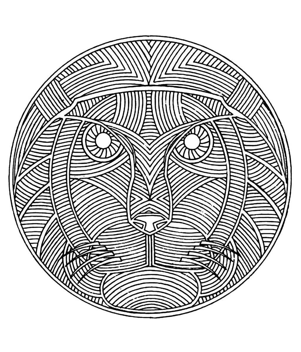Coloriage Mandala lion difficile adulte - Mandala à imprimer